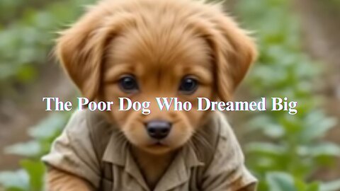 “🐶💫 The Inspiring Story of a Dog Who Dreamed Bigger Than Life!”