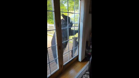 Goldilocks! let us in