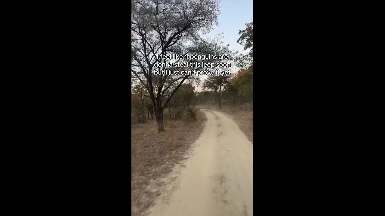 if you know you know