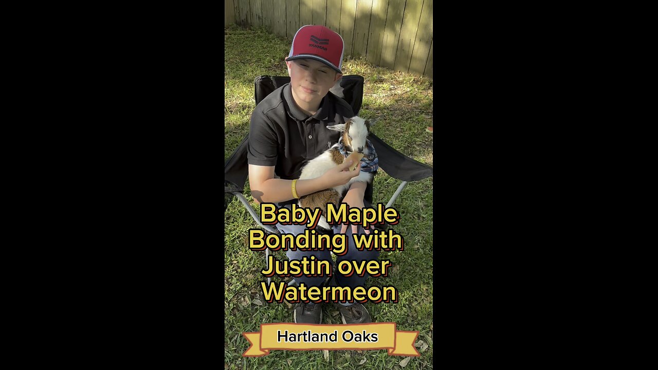 Do baby goats like watermelon?