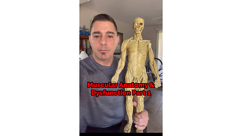 Muscle Anatomy & Dysfunctions Part 1