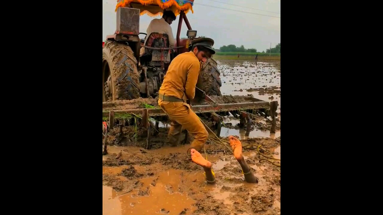 Very funny 🤣