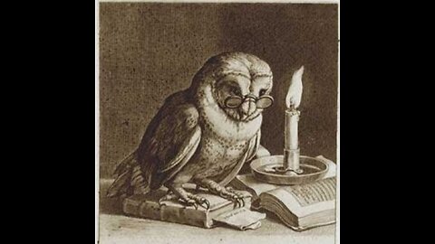 Owls peak into the Palantir