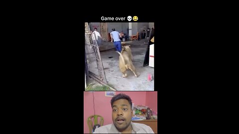 Lion Attacks in Home and Two men Running 😆😆