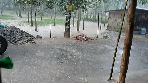 "বৃষ্টি যেমন মাটি ভিজিয়ে দেয়, তেমনই হৃদয়ও ভিজিয়ে দেয় আবেগে।"