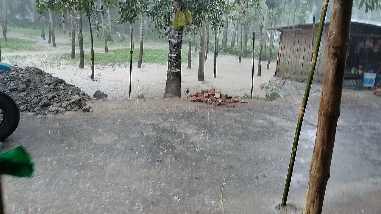 "বৃষ্টি যেমন মাটি ভিজিয়ে দেয়, তেমনই হৃদয়ও ভিজিয়ে দেয় আবেগে।"