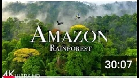 Amazon 4k - The World’s Largest Tropical Rainforest | Jungle Sounds | Scenic Relaxation Film