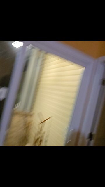 Image export as step to video support