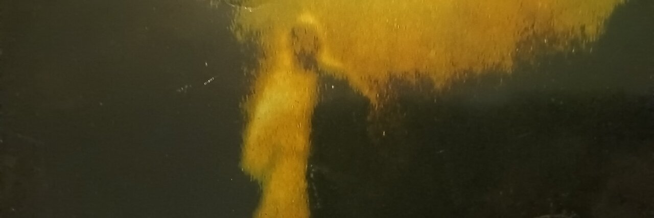 Jesus Warns about False Prophets