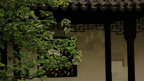 Osmanthus