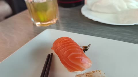 🐜😂 A Wasp Stole My Sushi - What Happens Next is CRAZY! | FunFM