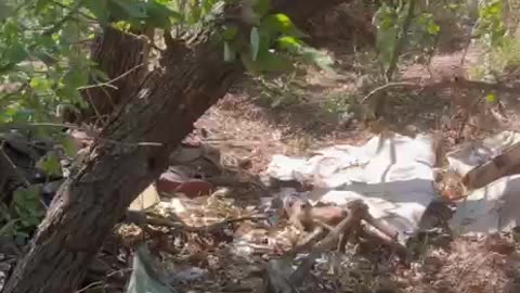 Ukraine war combat footage 8/6/25