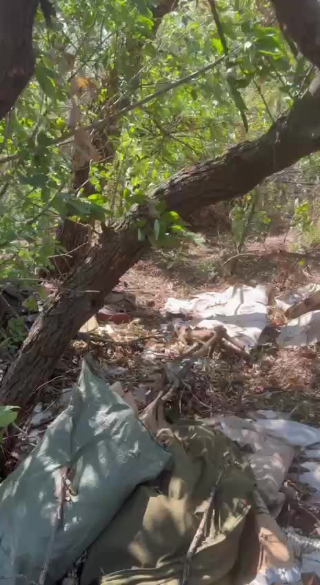 Ukraine war combat footage 8/6/25