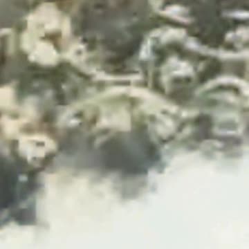 82 ⚔️ In gaming, if the enemy scouts, then set a trap