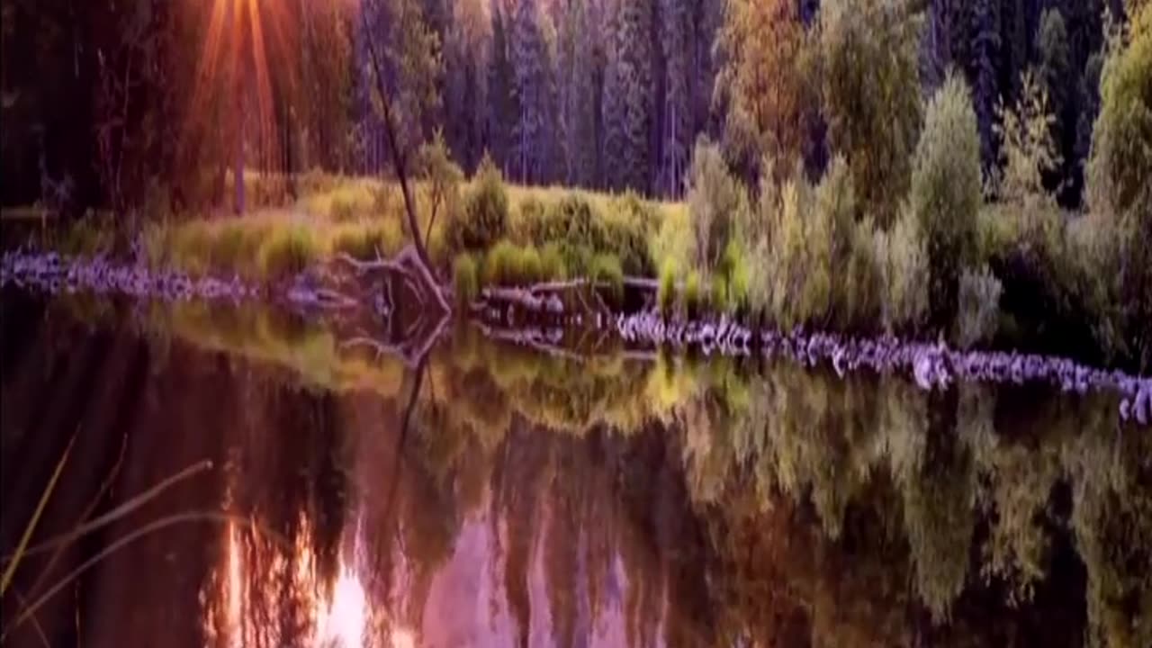 🎶Música Relajante♨️en 1 Minuto🧘‍♂️Medita, Duerme y Alivia el Estrés #shorts #viralshorts #music