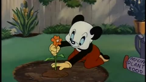 Woody Woodpecker and Friends - 1946x08 - The Wacky Weed