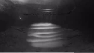 Dusty plasma waves