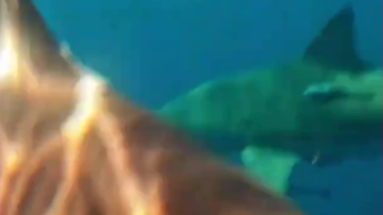 Mr.Beast - Experiencing Earth's Top 5 Deadliest Places - A Wild Adventure!