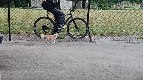 Sunflower smiles project worker arrived