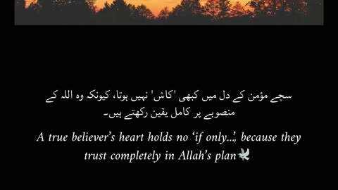 A True Believer Never Says “If Only”