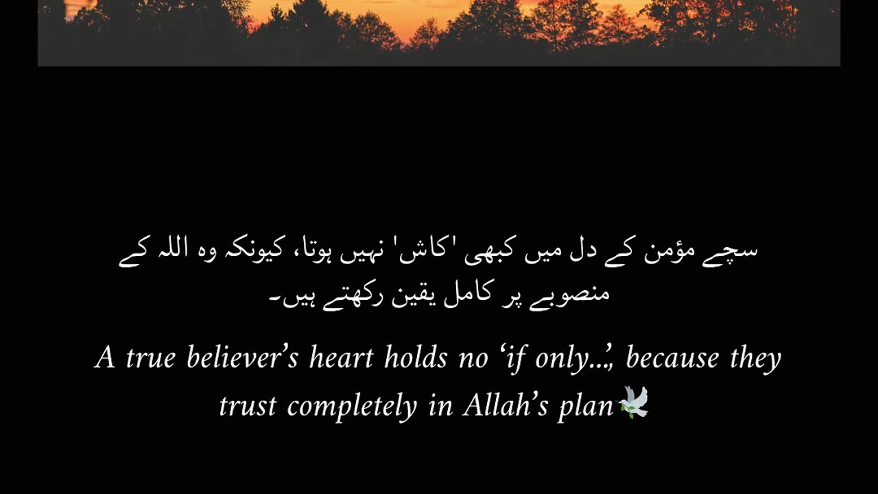 A True Believer Never Says “If Only”