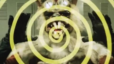 😂🐺 This Werewolf 3000 Mashup is INSANE! | FunFM