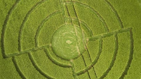 Crop Circle de 2023 en 4K | Roundway Down - Nr Devizes | Wiltshire, Royaume-Uni | 11/06/2023