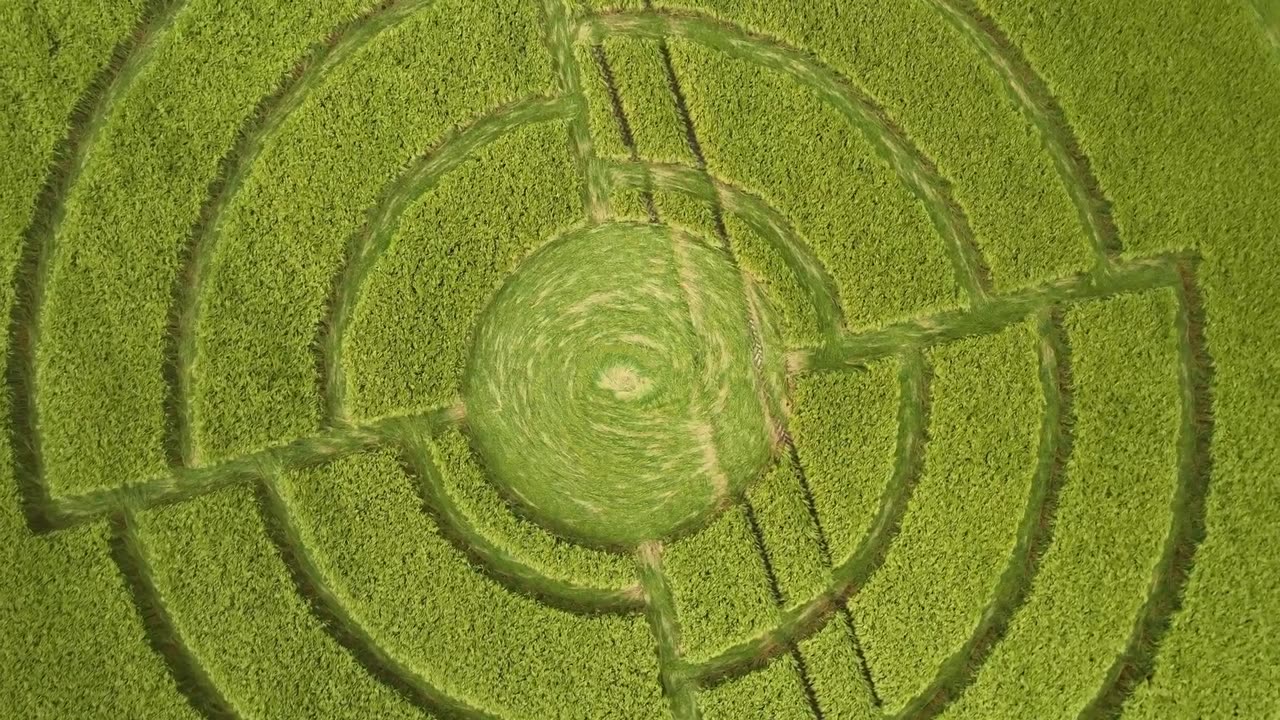 Crop Circle de 2023 en 4K | Roundway Down - Nr Devizes | Wiltshire, Royaume-Uni | 11/06/2023
