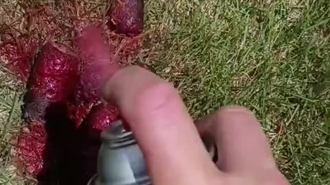 Easter Life Hacks