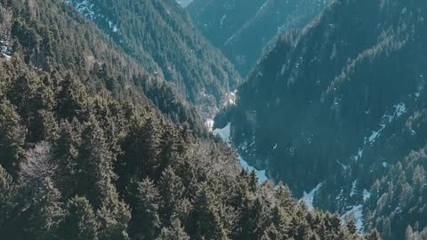 Our True Nature - Lama Dawa's Commentary