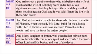 The Christmas Story in the Bible and the Quran (Featuring Daniel Haqiqatjou!)