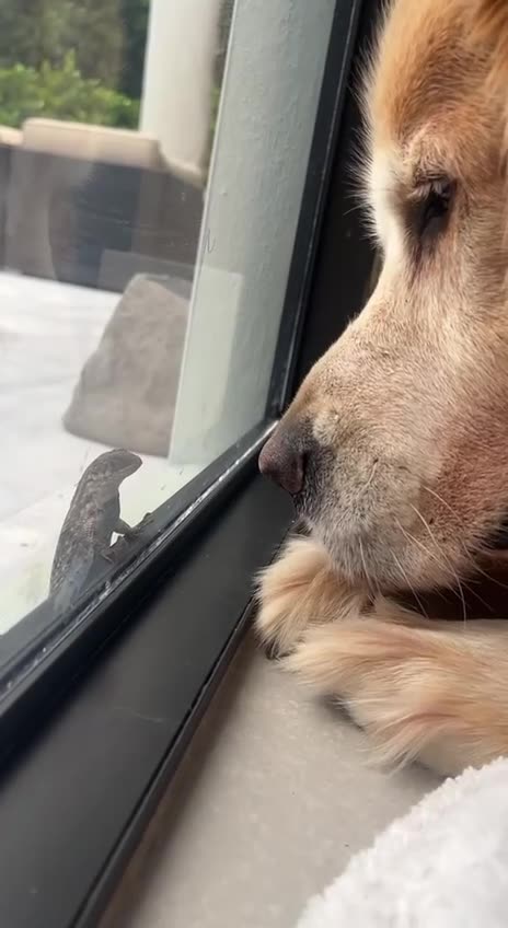 Stare down at the OK Corral 😝