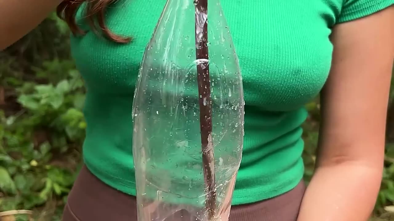 A Girl In The Forest