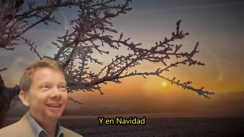 Lo que Realmente sucedió en Nochebuena que la Iglesia Oculta