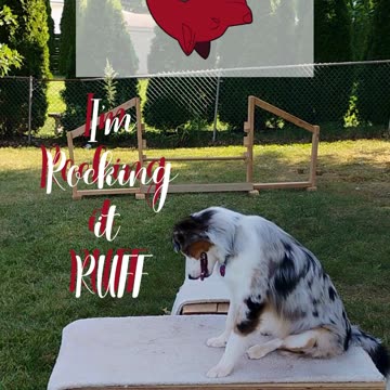 Platform Balance beam Hurdle short 5