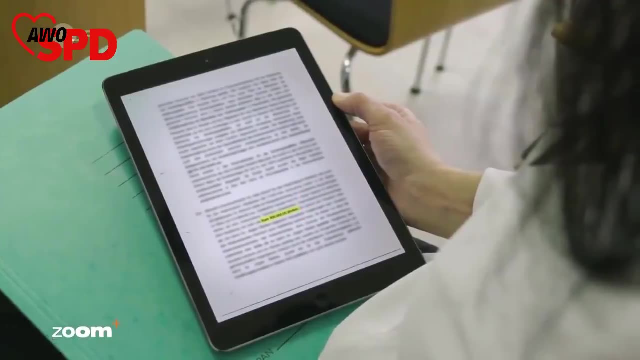 SPD Schaden Deutschland