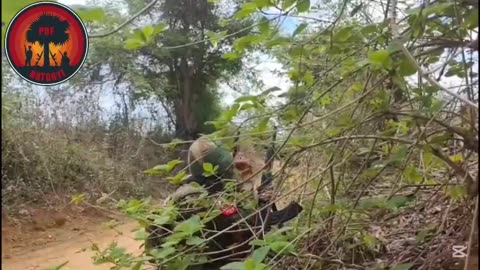 💥🌍 Myanmar Conflict | Natogyi PDF in A Nyar Myae Operation | RCF