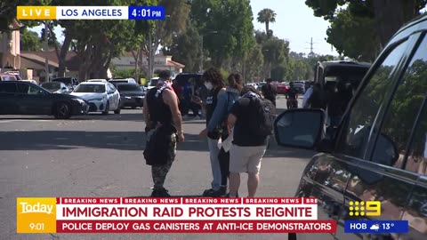 Immigration raid protests reignite in Los Angeles | 9News Australia