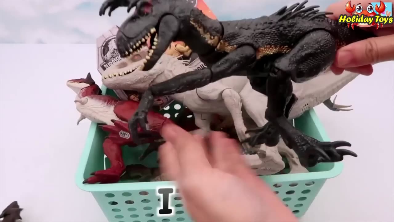 Woke Up Dino Who was Sleeping Under Coconut Tree Near the Beach