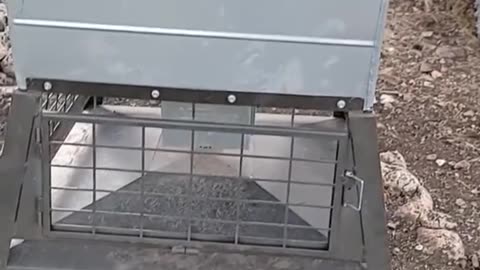 Ranch Feeders