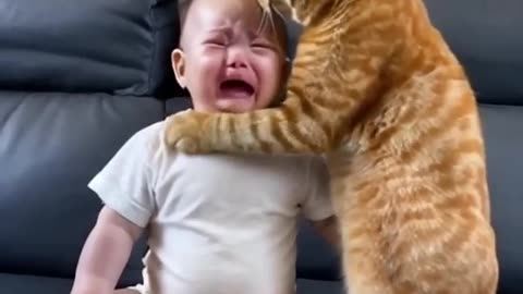 Seeing the baby crying, my cat has been comforting him and wiping his tears. What a heart-warming