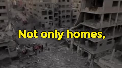 07 Gaza Week 7 - The Genocide