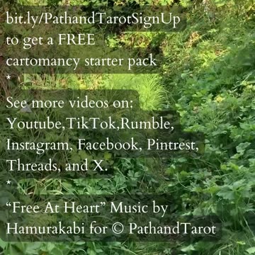 Breakthrough Before Burning Out | Path and Tarot Reading