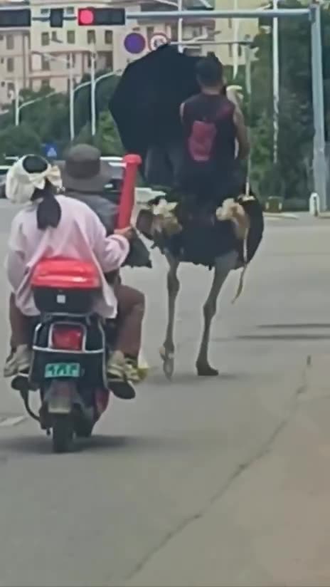 What about the possibility of road rage 🤣