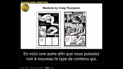 Contenu sexuel explicite dans certaines bibliothèques scolaires