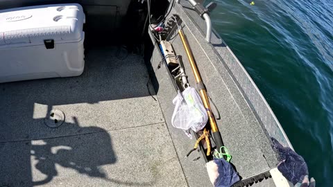 Homer Alaska Fishing for King Salmon, Halibut and Rockfish 5-10-2025