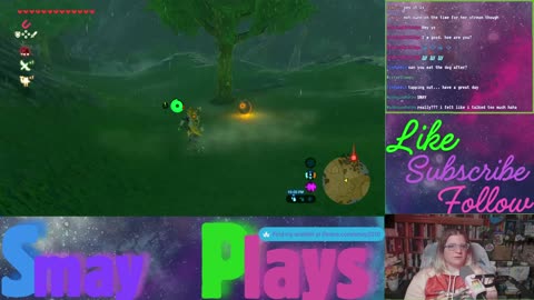 🗡️🏹Zelda: Breath of the Wild Play Through (Part 22)🏹🗡️