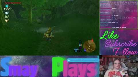 🗡️🏹Zelda: Breath of the Wild Play Through (Part 22)🏹🗡️