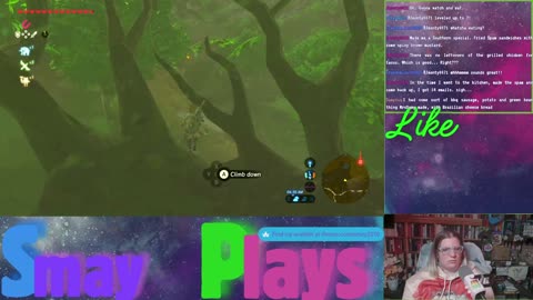 🗡️🏹Zelda: Breath of the Wild Play Through (Part 22)🏹🗡️