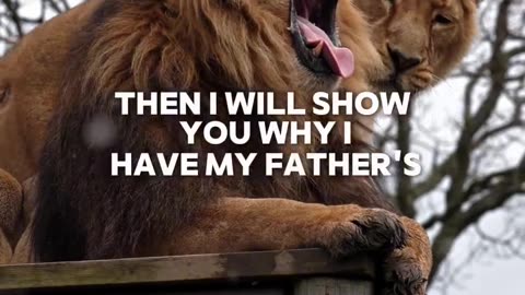 My MOTHER RAISED ME AS A KINDEST!